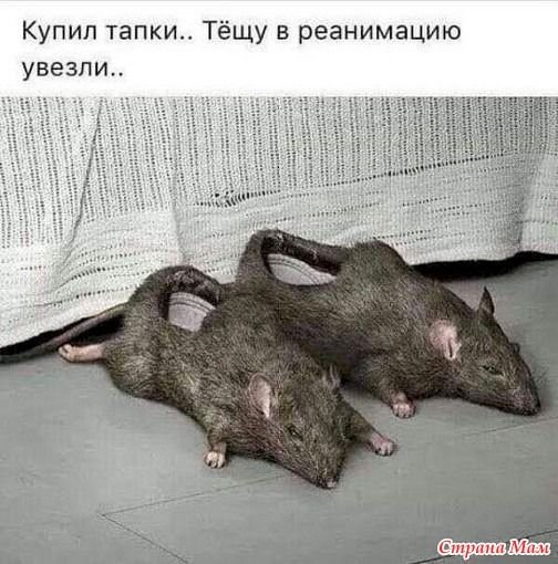 )