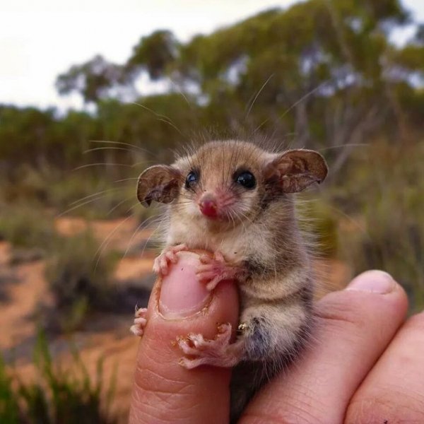 LlnnfGShRU4hyXIkyF9XcjE-aCtJWb4GMsPGiVKt3F58X7nKEkhkXZhy7A7S