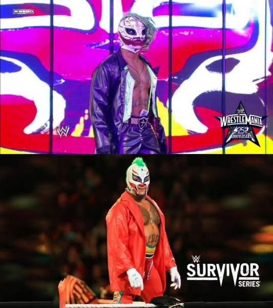 Wwe (167)
