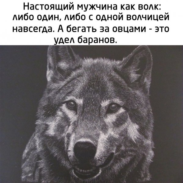 CJkvcMw8YlQ