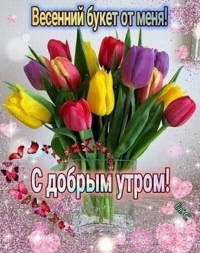 IMG-20220503-WA0007