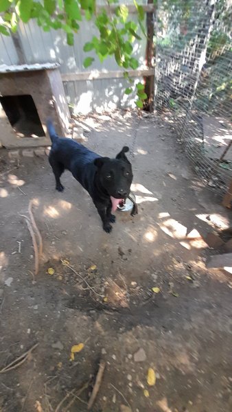 picture_393322347