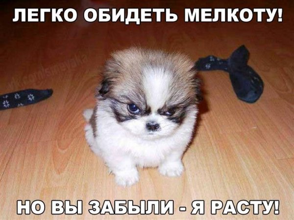 Вырасту и устрою вам Авада Кусявра!