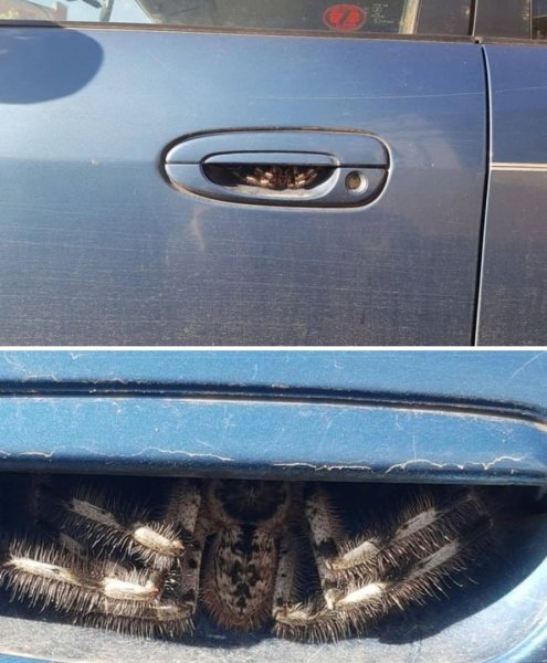 Пожалуй сегодня прогуляюсь пешком