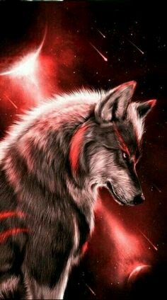 9afc19c2f8e393b35c266e8aaf934f8a
