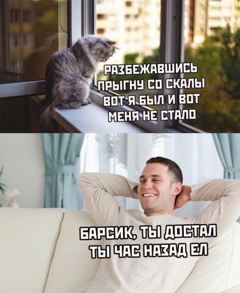 a79 luchshie-prikoly-v-memah-28