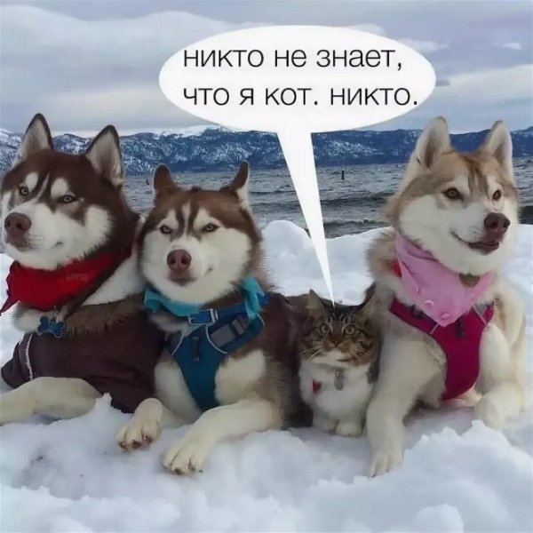 Никто