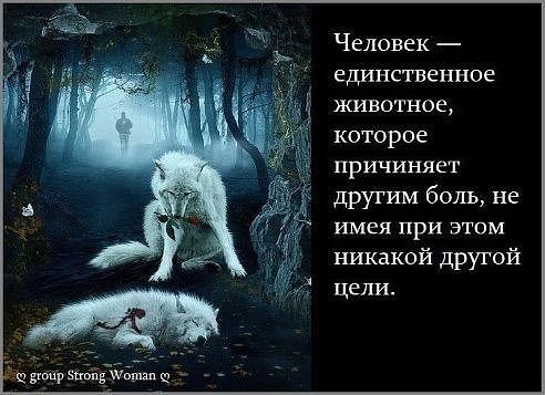 Человек