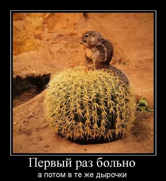 И хочется и колется