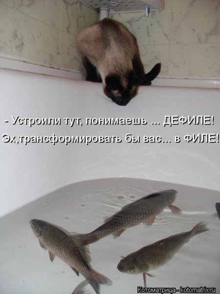 picture_414345842