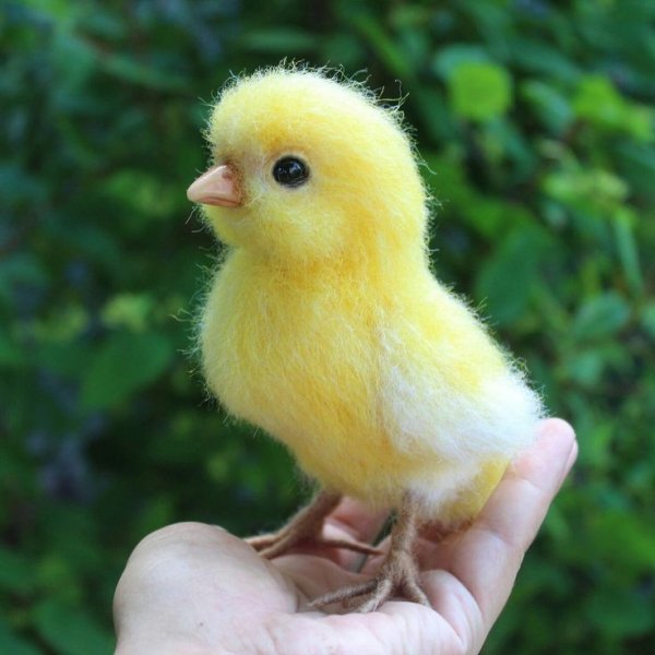Курчатко