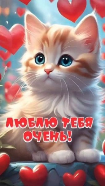 87p6lJG8RM6XTwg2HRkd3KojN4vgjpjmD0DBQnq3AUa8SZAxrAZBG2rDB