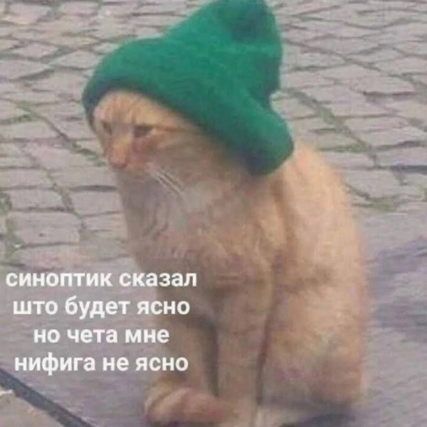 IMG 20260203 090540 309