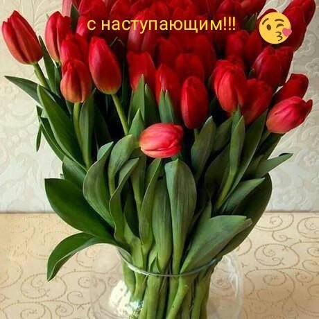 IMG-20180307-WA0031