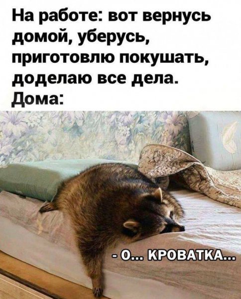 e901d2a 00000000000