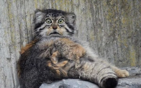 e938eac5b71edbdd590b077b04e6a