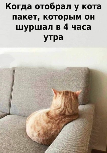 i (8)
