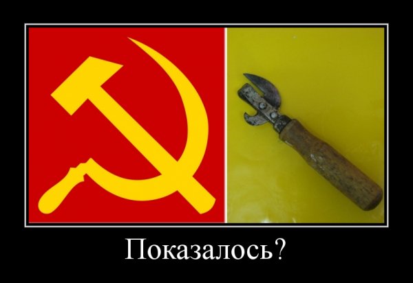 Забавные сходства