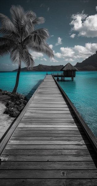 Арт Природа