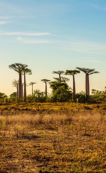 Screenshot 20260203-130728 One UI Home