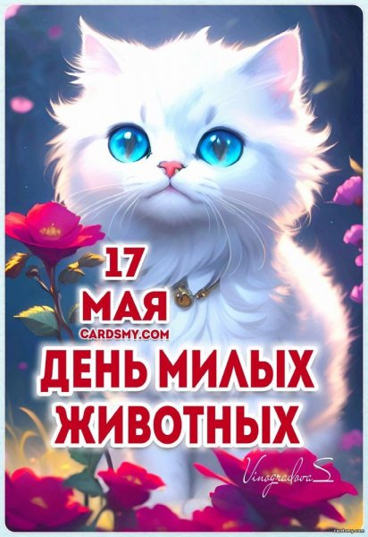 Изображение viber 2024-05-17 04-05-50-134