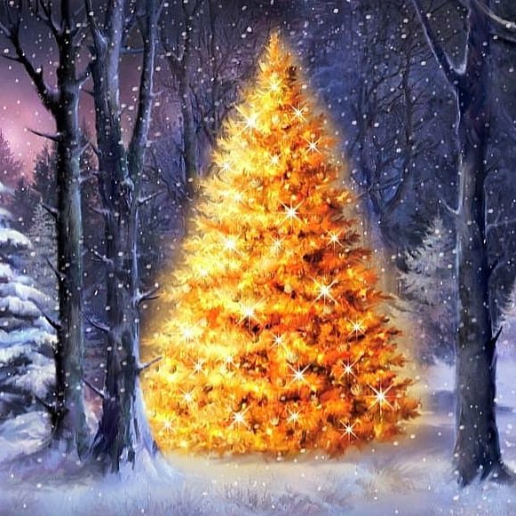 12-27 23-48-28 1640671170166