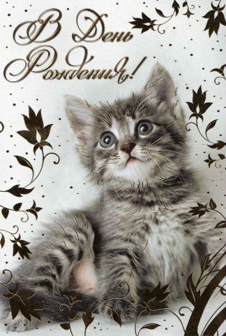 В День Рождения-wg