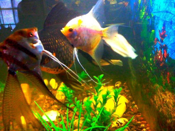 IMG20110604 010 edit0