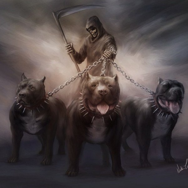 смерть и 3собачки