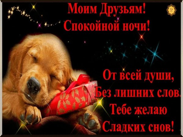 Спокойной ночи!