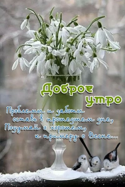 IMG-20210329-WA0003