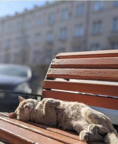 VxKzwXGTKGSTHxc4htGUN27NEiFHWE c-B8zT-wGqd3guSacP8V23jtKEdXQ