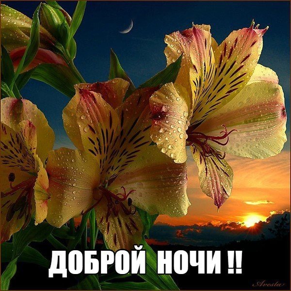 IMG 20180302 224939 532