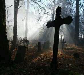 picture_83828960