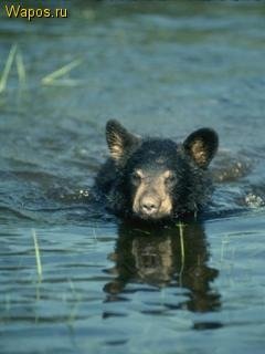 picture_167699949