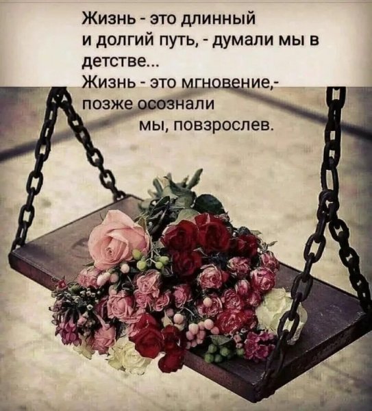Жизнь...