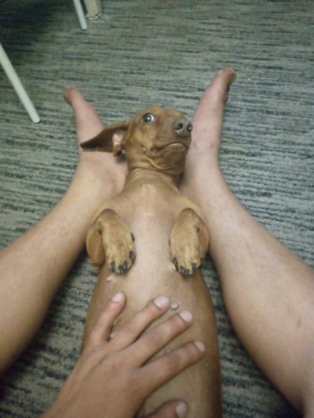 IMG 20210819 212905 434