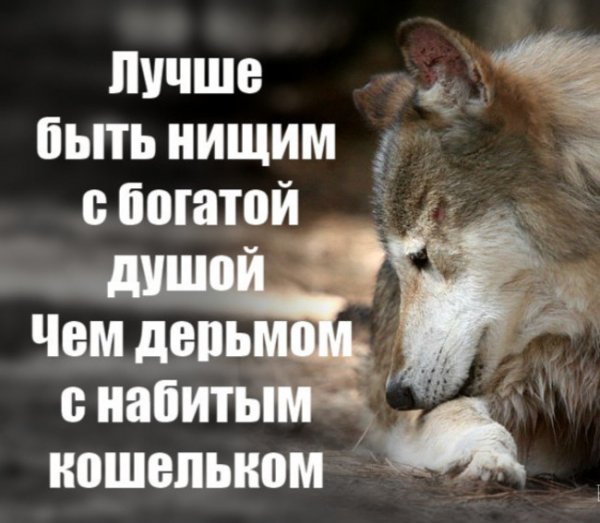 5XyAOZryPI