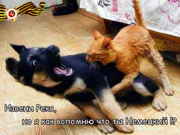 победа
