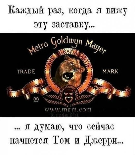 smeshnye-kartinki-s-nadpisjami-28