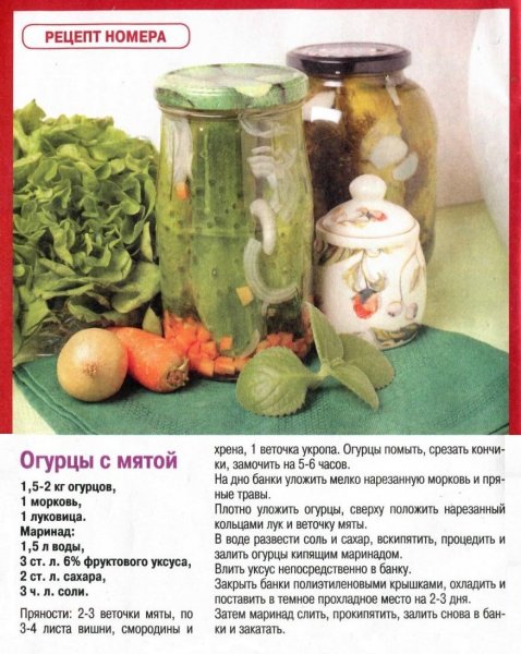 Огурцы с мятой
