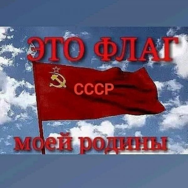 IMG-64140e153a80e328b68c6d935df6f13b-V