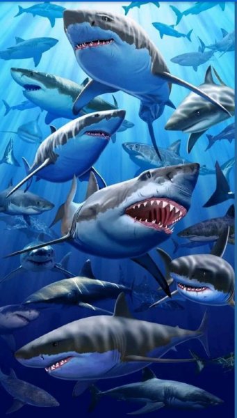 Great White Sharks Beach Towel BRAND NEW on Mercari
