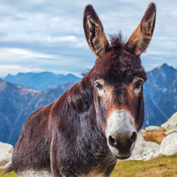 fe87ab9ac9205edbd0e98