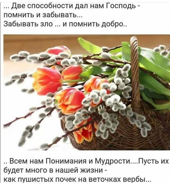 e13fbed0b9ff97a8f0eb4ab048e