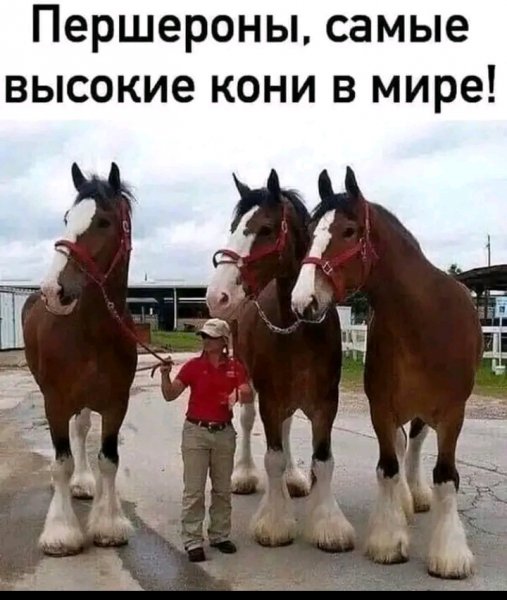 picture_362797947