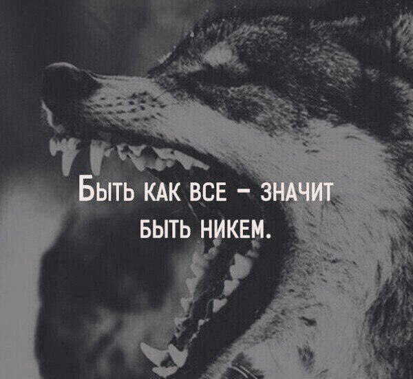Pic quark 1664382688851