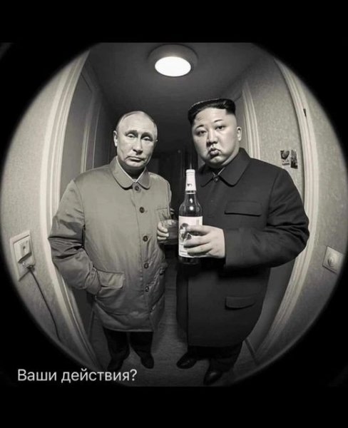 Они