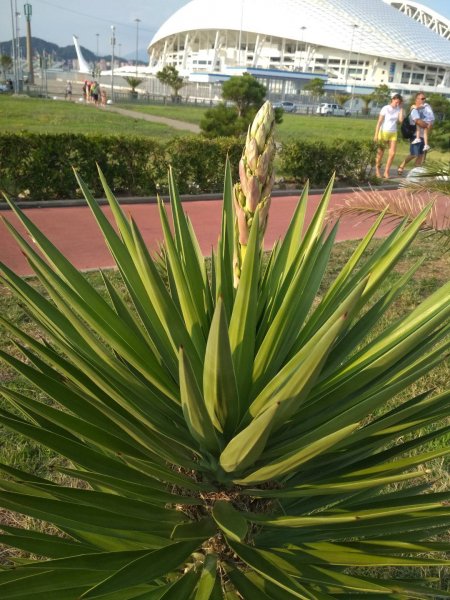 IMG 20200726 174614