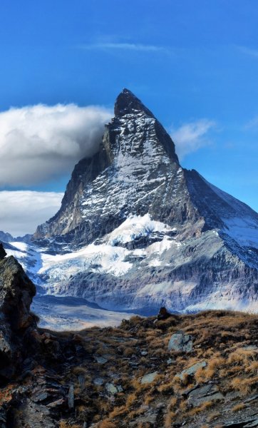 Screenshot 20260326-141905 One UI Home